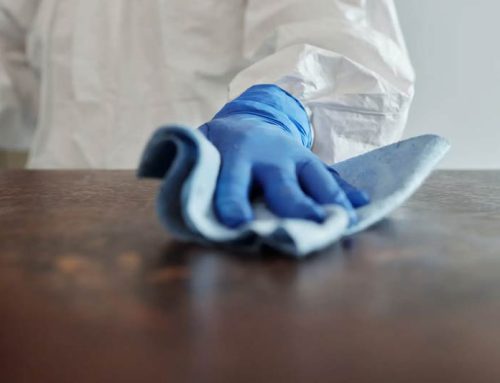 How to Tackle Stubborn Bathroom Mold Without Harsh Chemicals