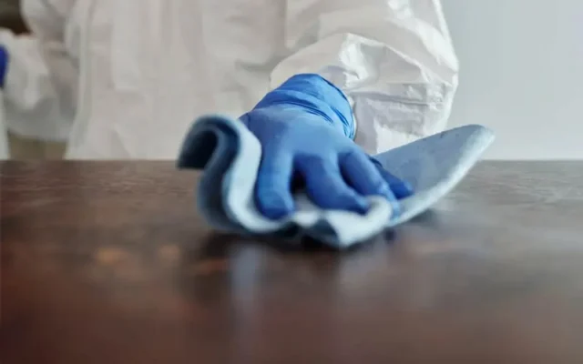 Healthy Home Cleaning in Sarasota, FL