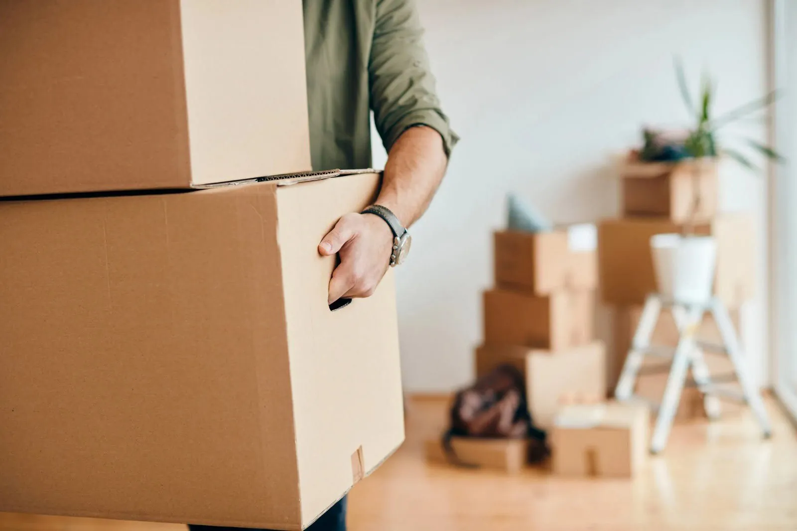Moving Cleaning in Parrish