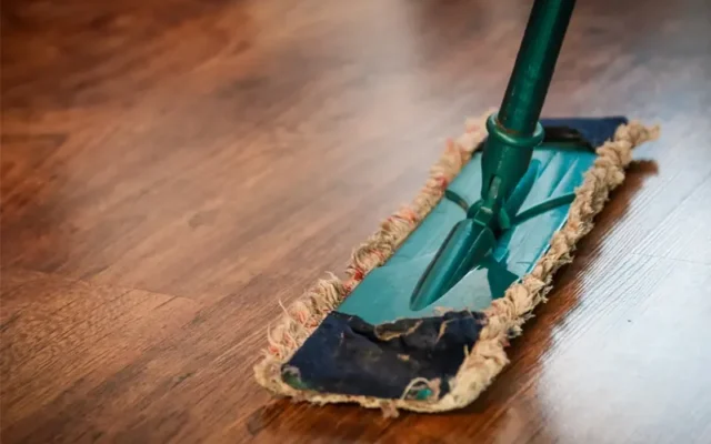 House Cleaning in Sarasota, FL