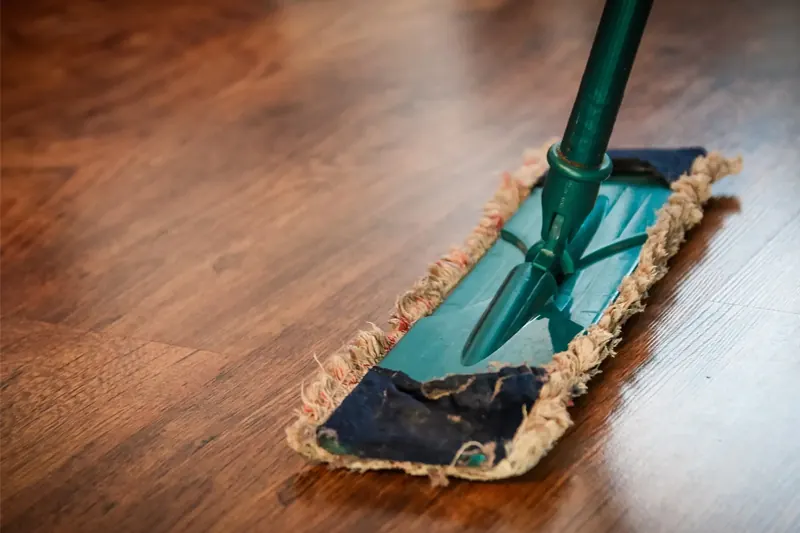 Residential Cleaning Services in Sarasota, FL