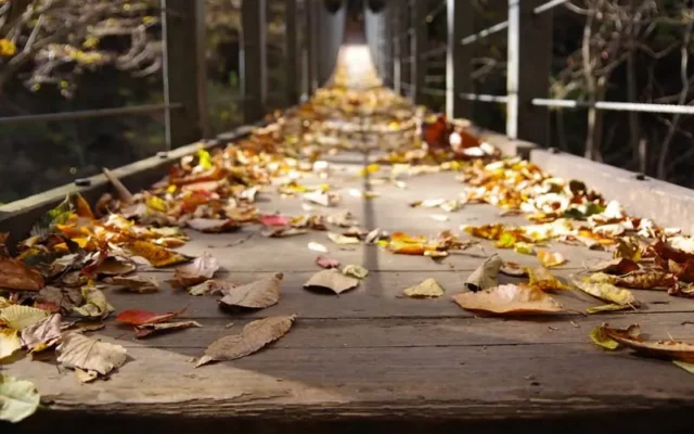 Seasonal Deep Cleaning in Sarasota, FL